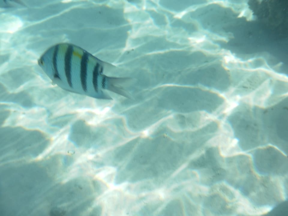 Strand Iberotel Casa Del Mar Resort