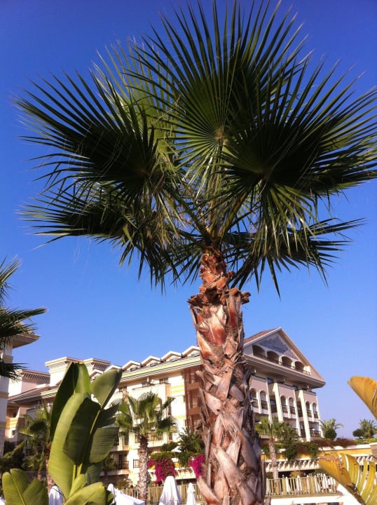 Tolle Aussenansicht Diamond Excellence Resort & Spa