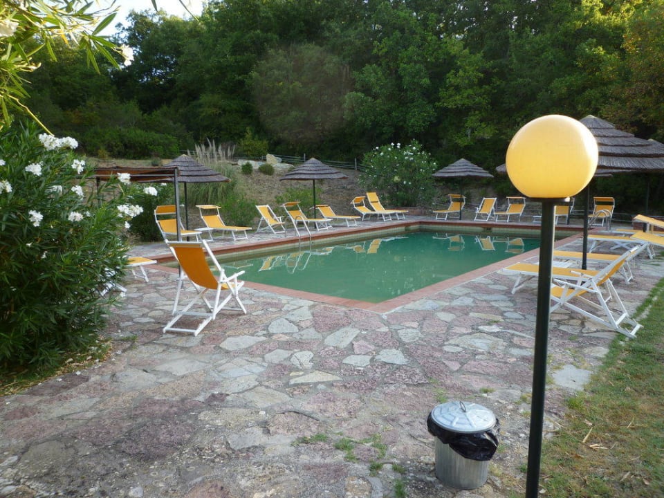 Der Pool mit den Liegen Hotel Campo Di Carlo