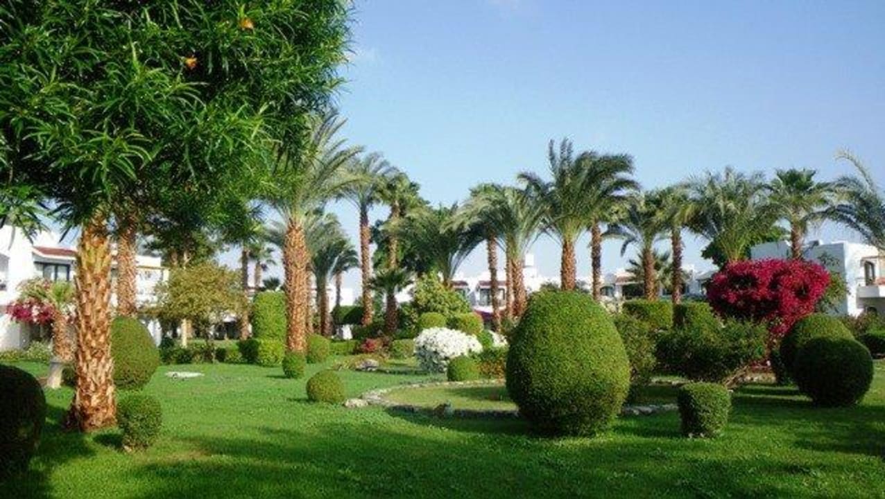 Palmenmeer. Lotus Bay Beach Resort