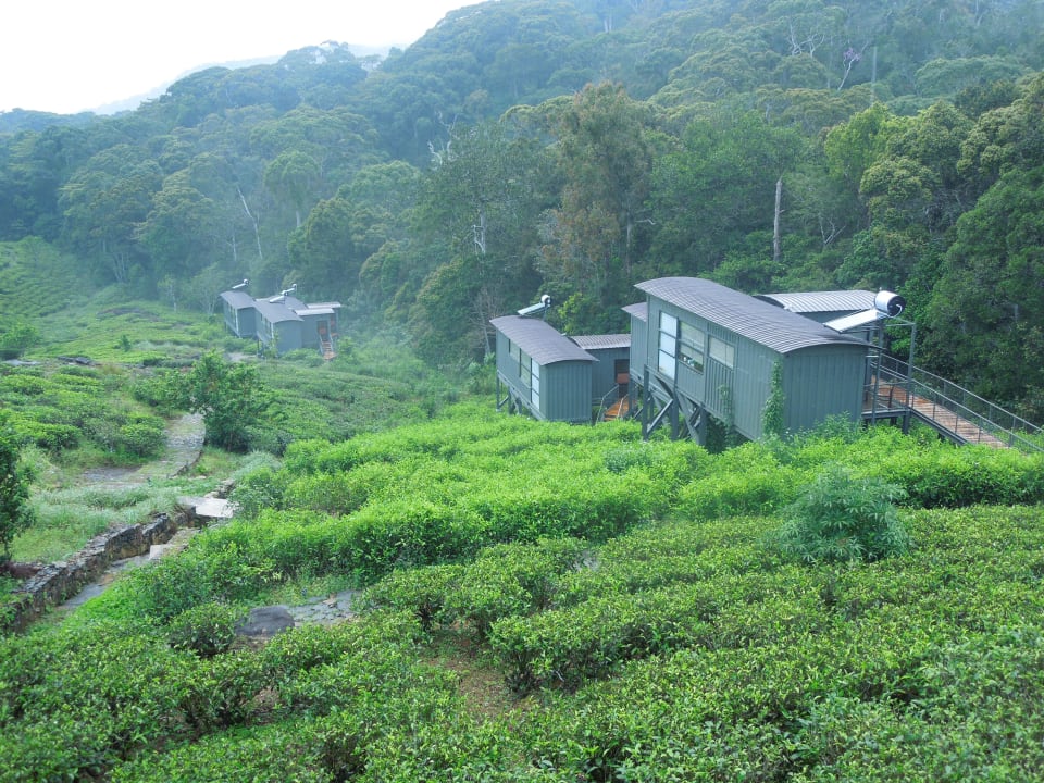 Sinharaja Rainforest Eco Logde Sinharaja Seyana Eco Lodge