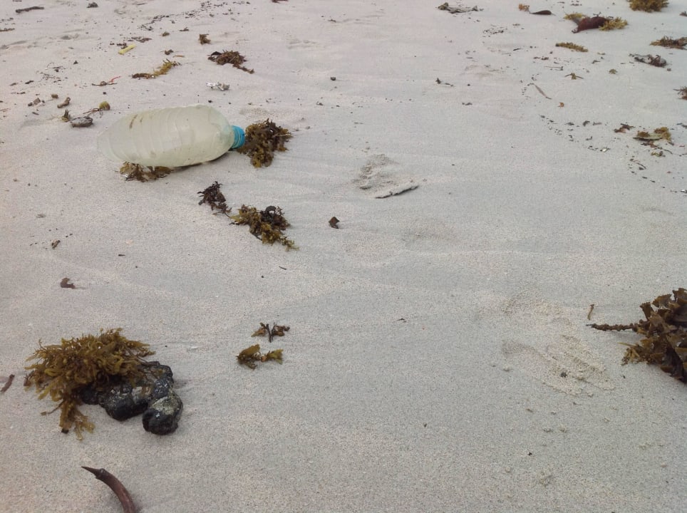 Strand voller Plastikmüll Crystal Bay Yacht Club Beach Resort