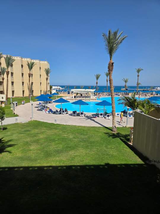 Pool Beach Albatros Resort