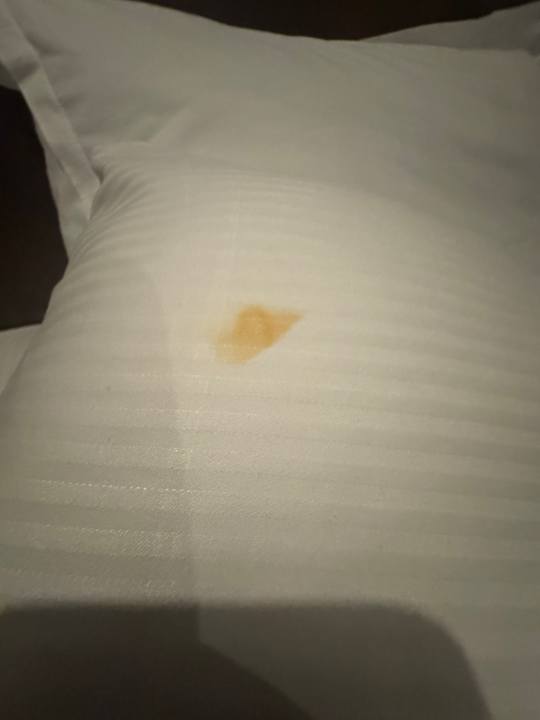 Zimmer Sherwood Dreams Resort