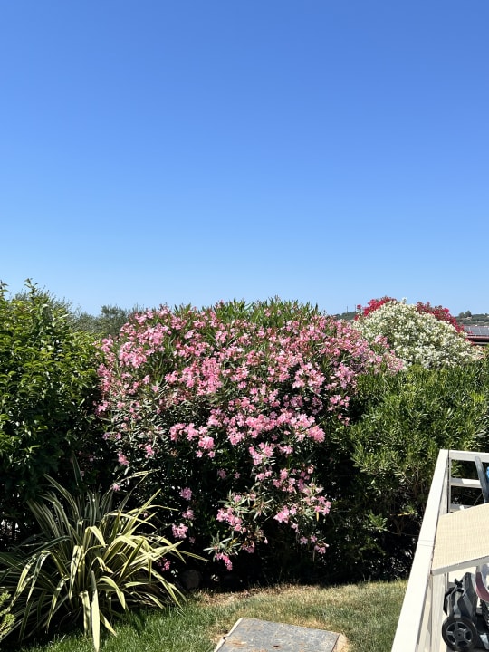 Ausblick Agriturismo Podere L'Agave