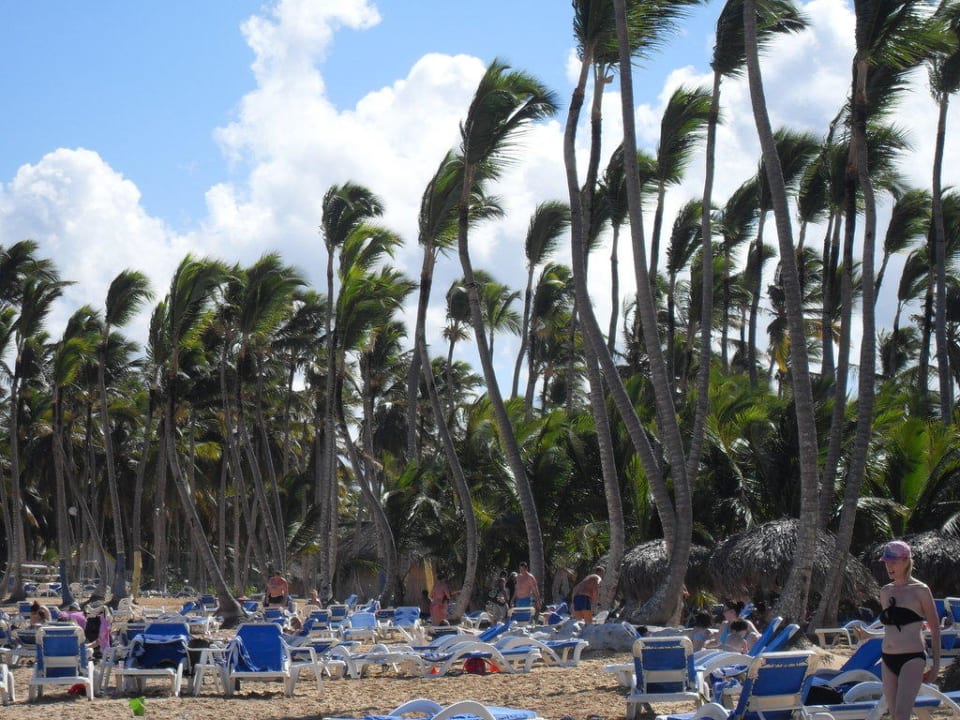 Überfüllter Strand Grand Sirenis Punta Cana Resort & Aquagames