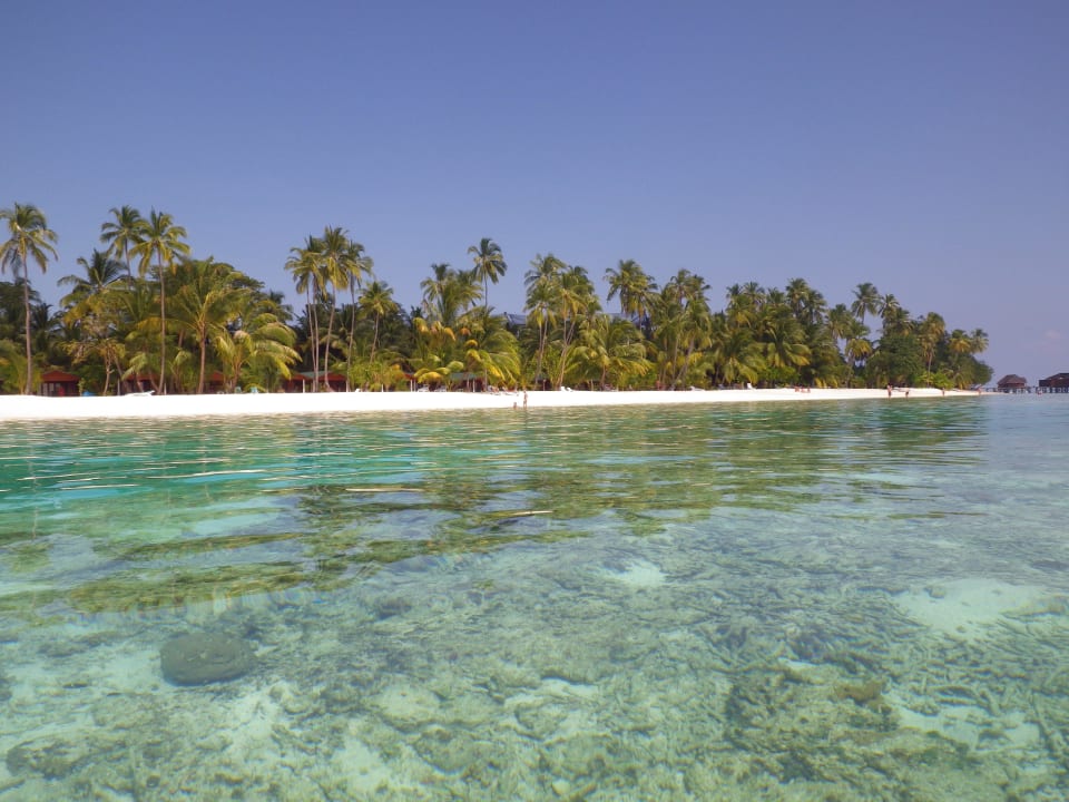 Ostseite Meeru Maldives Resort Island