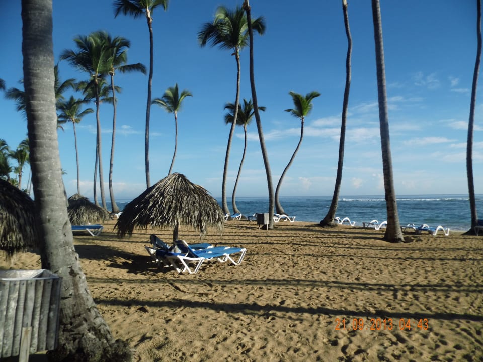 Palmen Grand Sirenis Punta Cana Resort & Aquagames