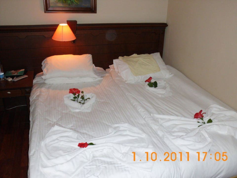 Zimmer in ANEX-Anlage Hotel Turan Prince