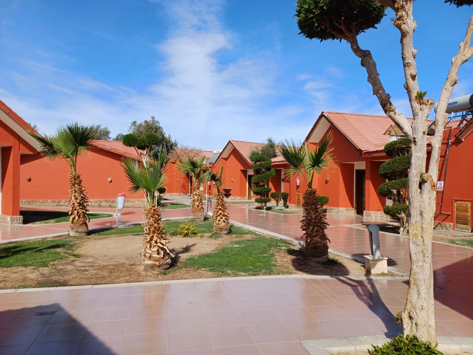 Gartenanlage Pickalbatros Jungle Aqua Park Resort - Neverland Hurghada