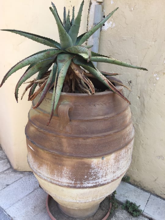 Sonstiges Hotel Hara Ilios Village