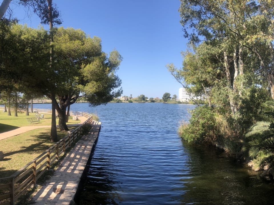 Gartenanlage BG Hotel Rei del Mediterrani Palace