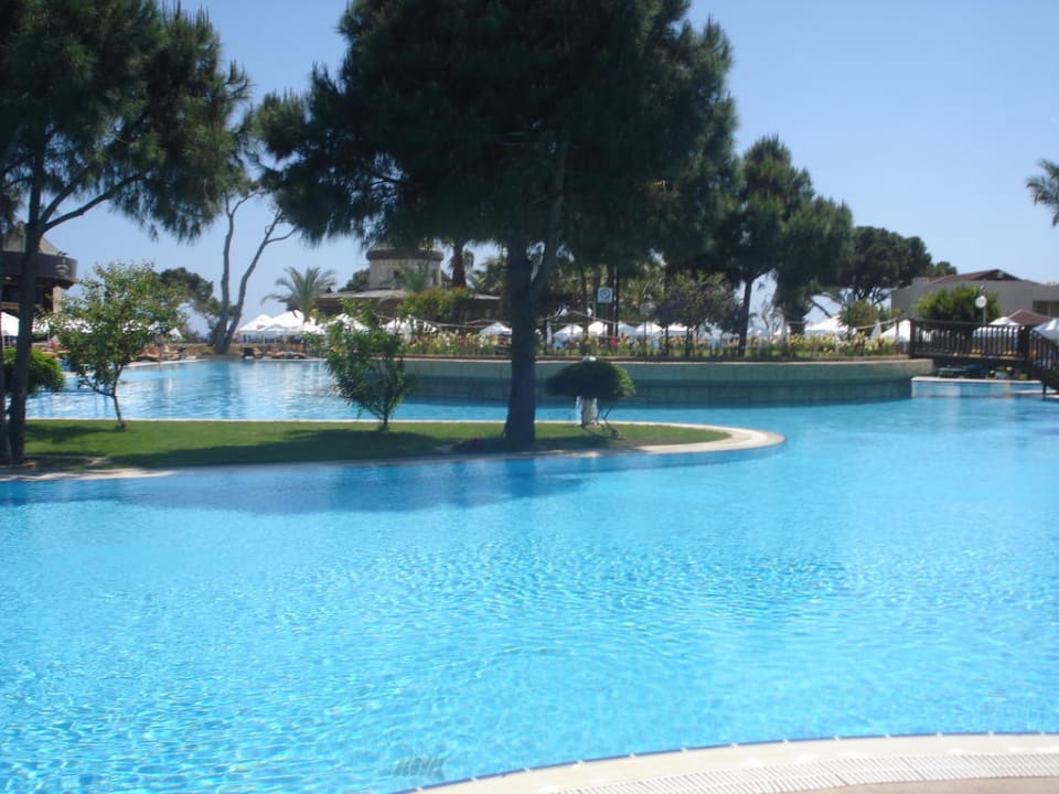 Schöne Poolanlage Papillon Ayscha