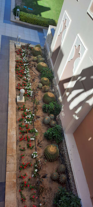 Sonstiges Pickalbatros Palace Resort