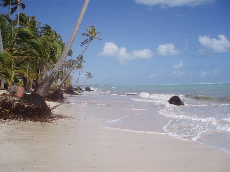 Strand nach dem Sturm 3. Hotel Grand Palladium Palace Resort, Spa & Casino