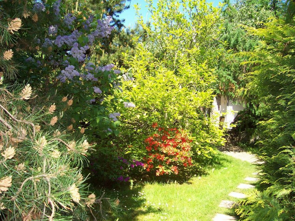 Garten  Gästehaus Dresden Kleppereck