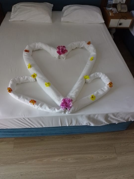 Zimmer Dream World Resort & Spa