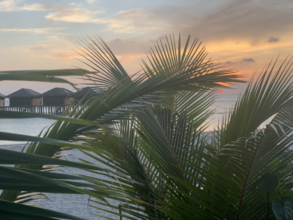 Ausblick Filitheyo Island Resort