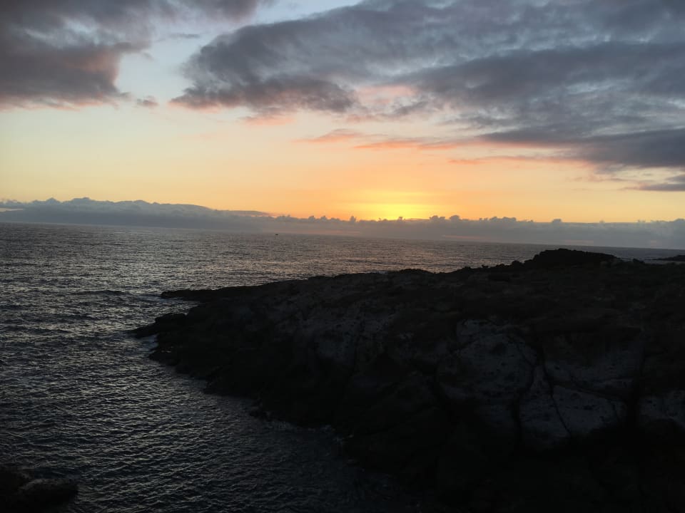 Ausblick Hotel Riu Buenavista