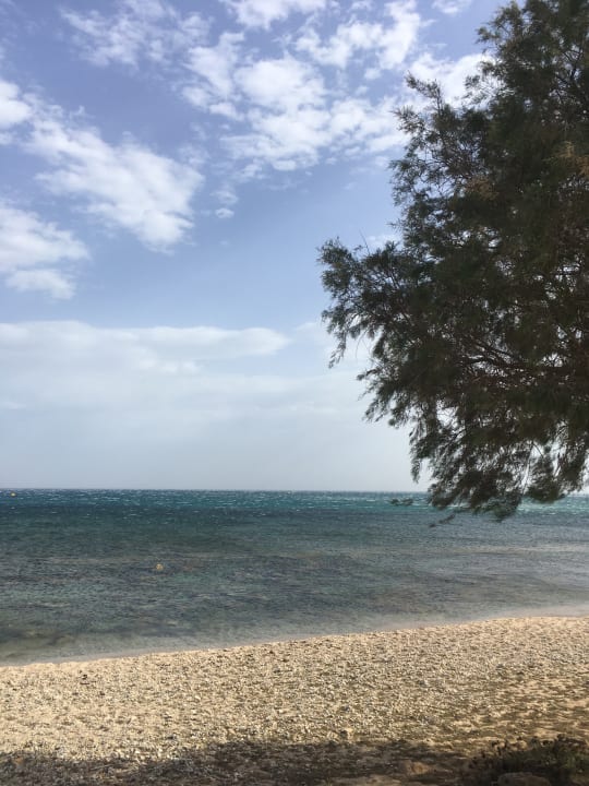 Ausblick TUI BLUE Insula Alba