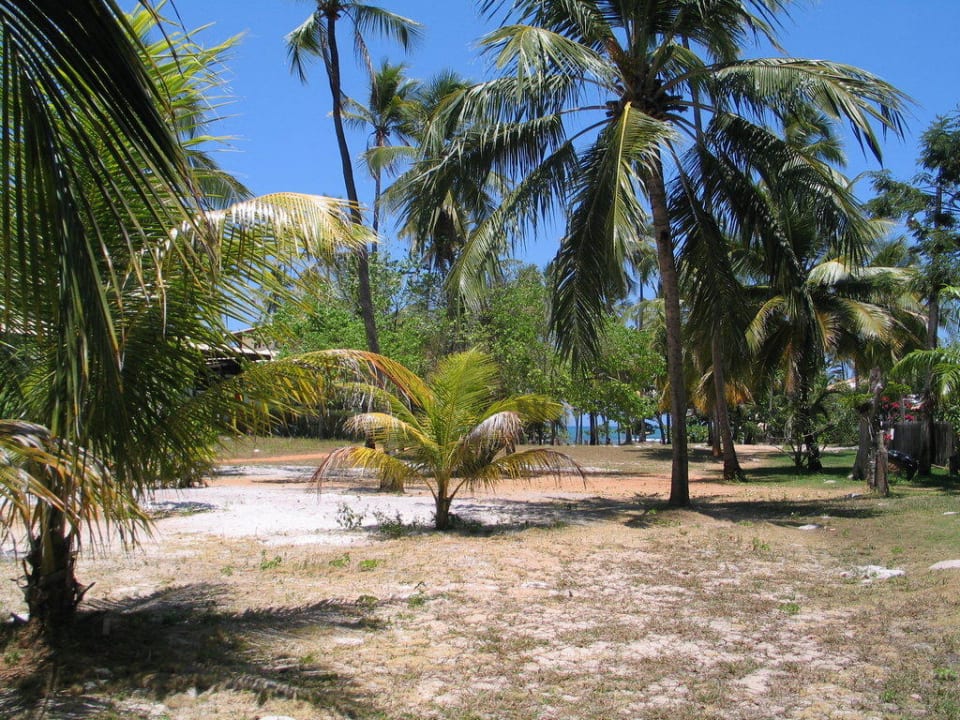 Weg zum Strand Teil 2 Hotel Porto Zarpa