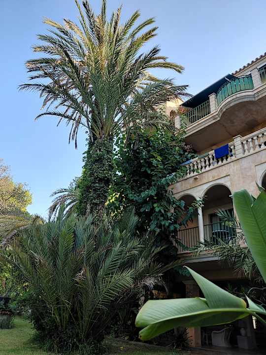 Gartenanlage Lago Garden