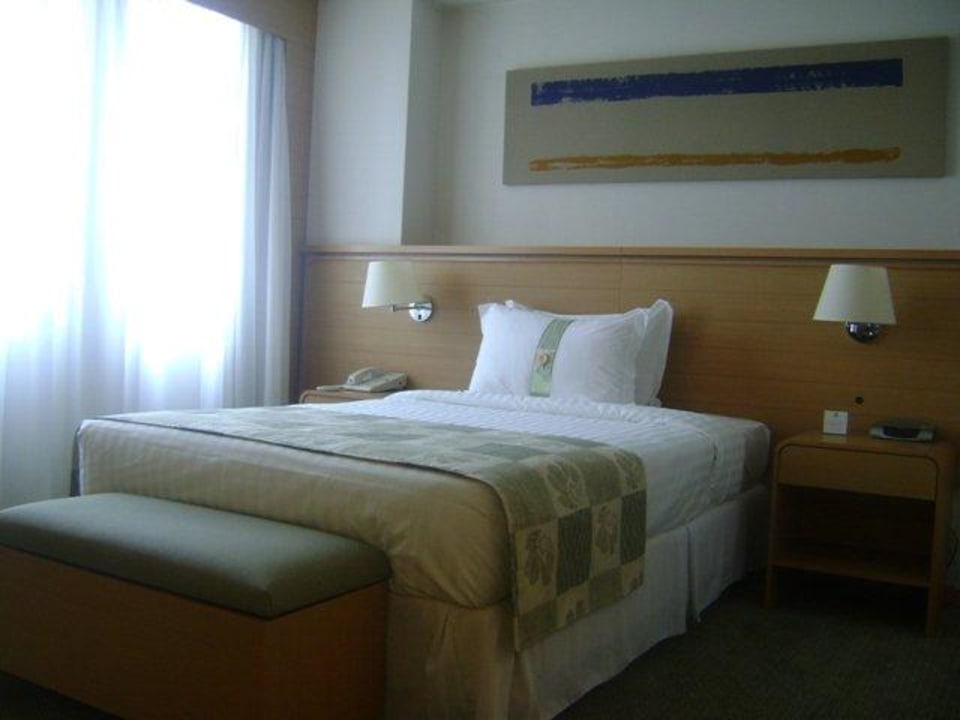 Quarto Handcap Hotel Holiday Inn Parque Anhembi