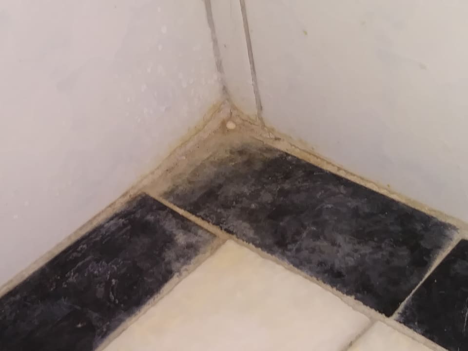 Zimmer Süral Saray Hotel