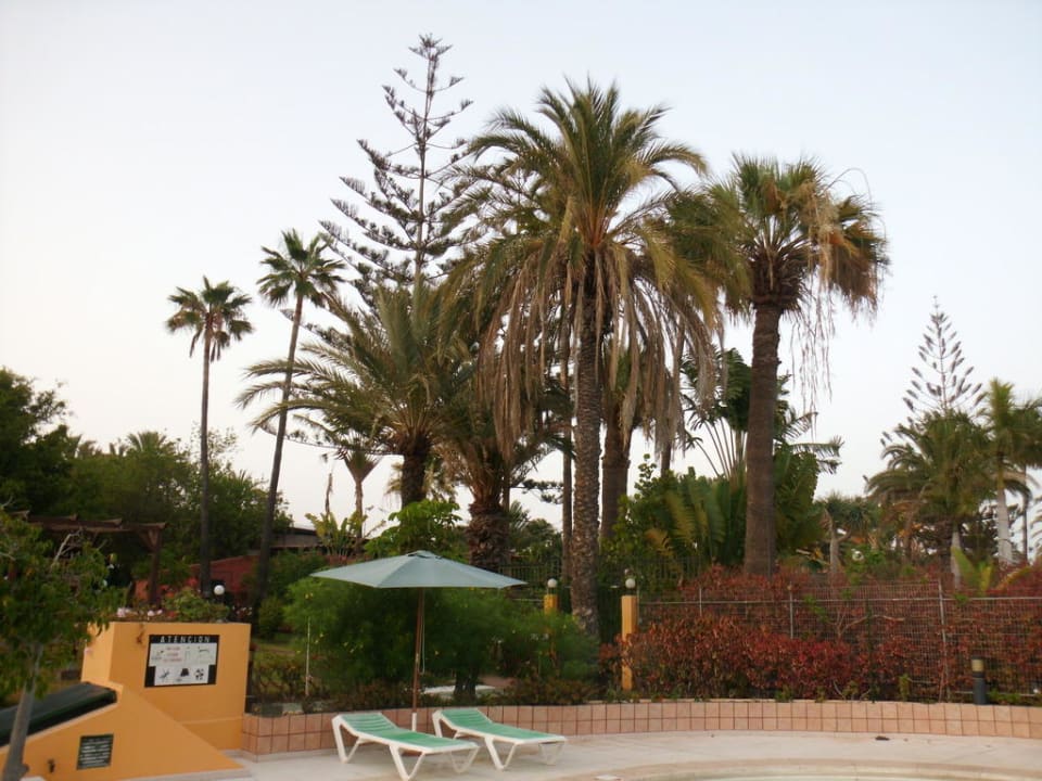 Pool Artemisa Gay Bungalows