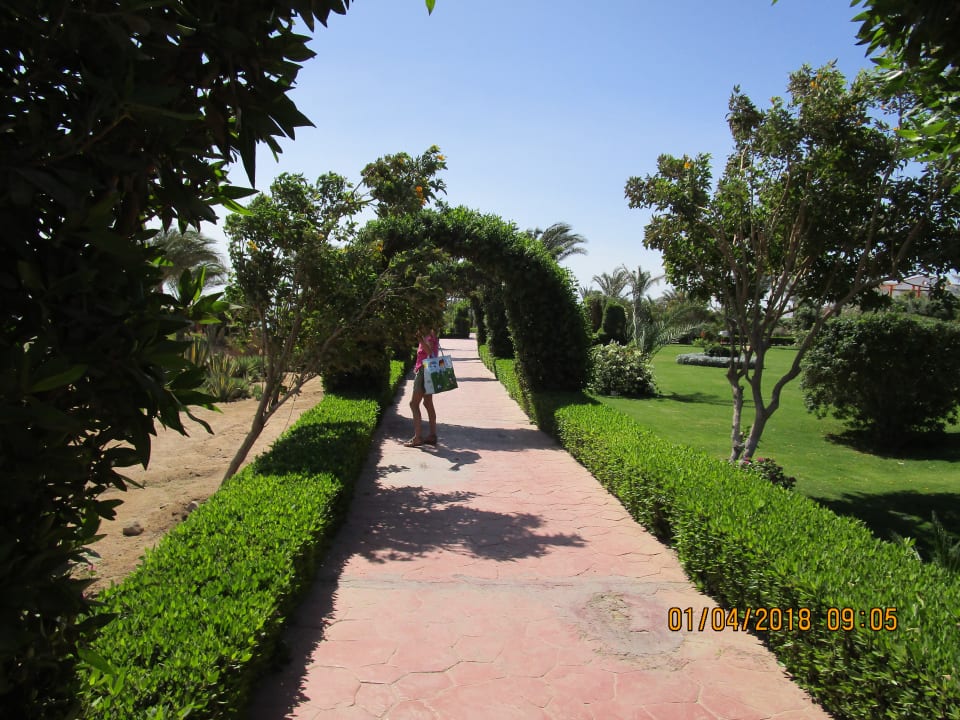 Gartenanlage Fantazia Resort Marsa Alam