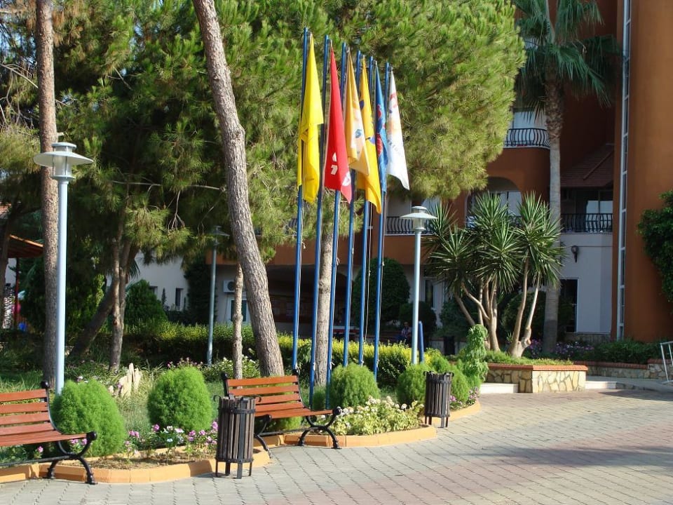 Зелень Club Turtas Beach Hotel