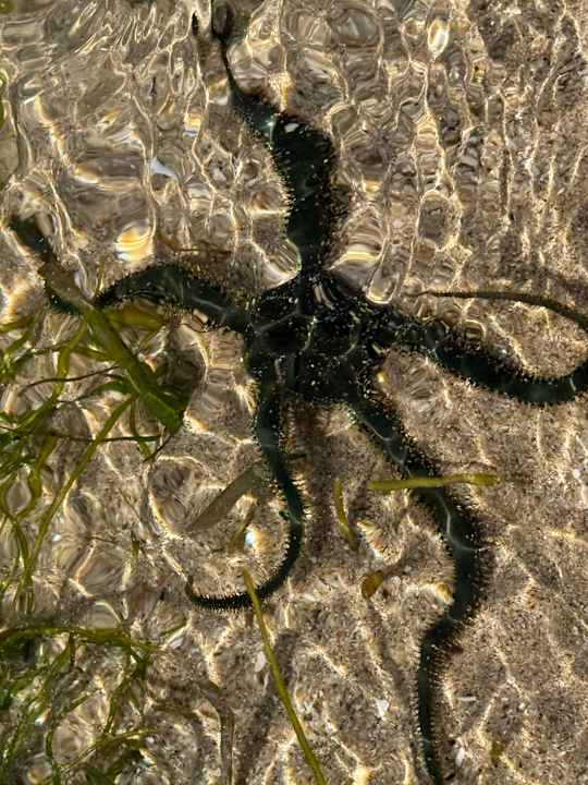 Strand Courtyard by Marriott Bali Nusa Dua