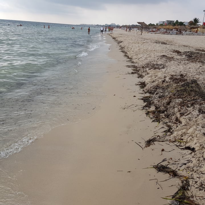 Strand Sentido Bellevue Park