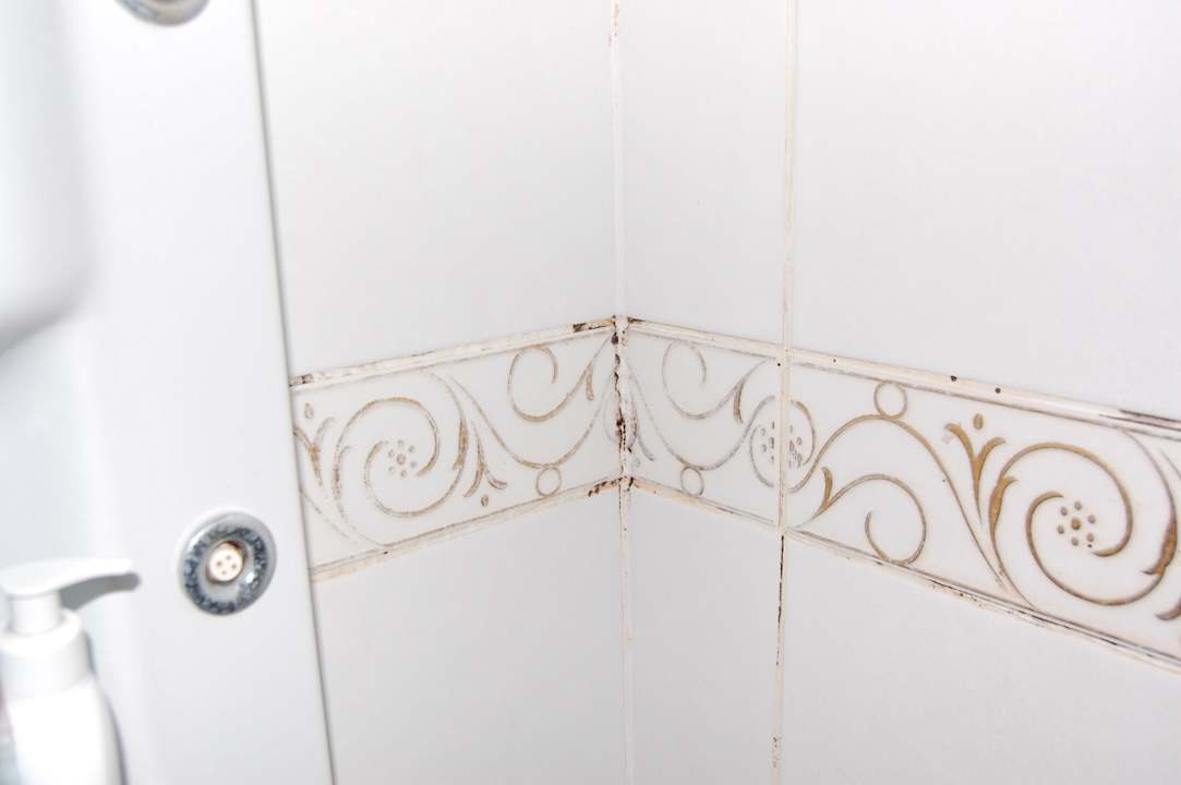 Grzybek pod prysznicem Larina Resort Spa & Hotel