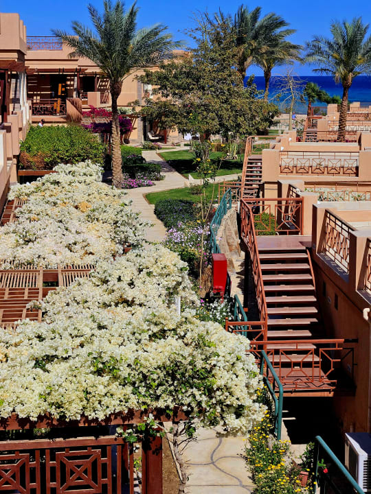 Außenansicht Shams Prestige Abu Soma-Adults Only