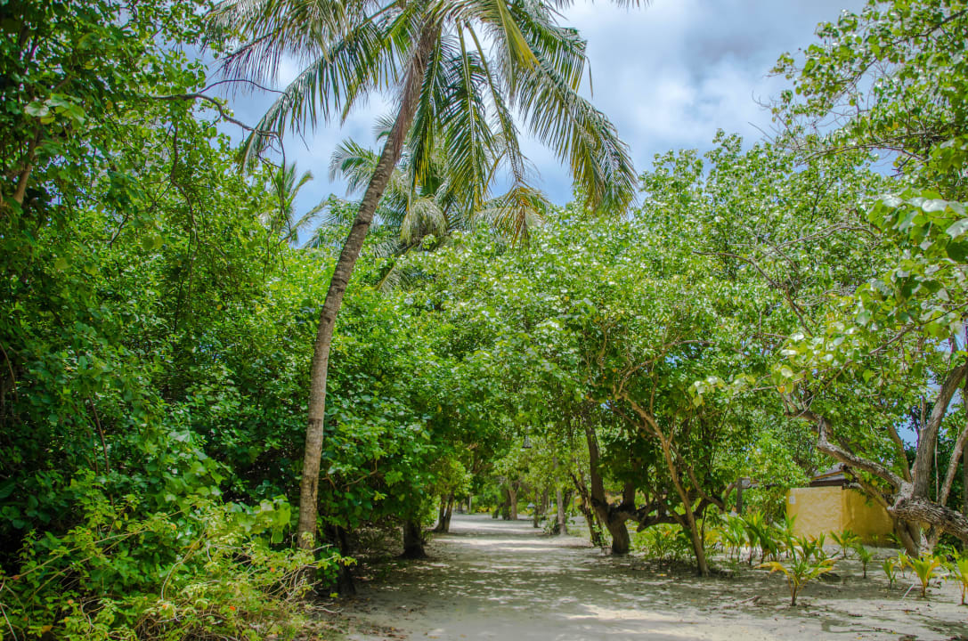 Schön Kuredu Island Resort & Spa