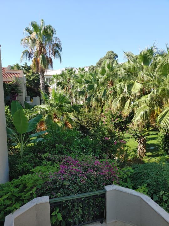 Gartenanlage Paloma Oceana