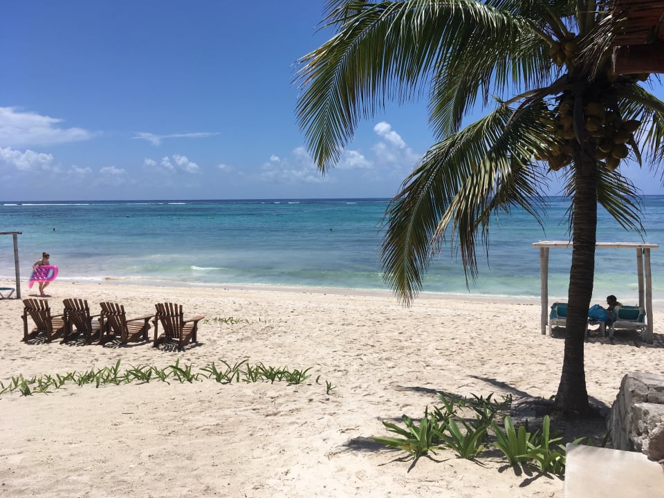Strand Akumal Bay Beach & Wellness Resort