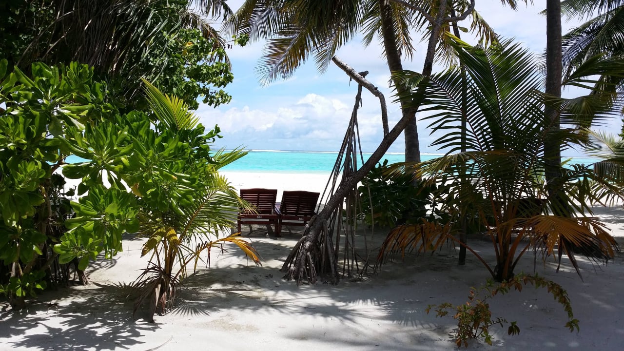 Ausblick vom Strandbungalow 504 Villa Park Sun Island