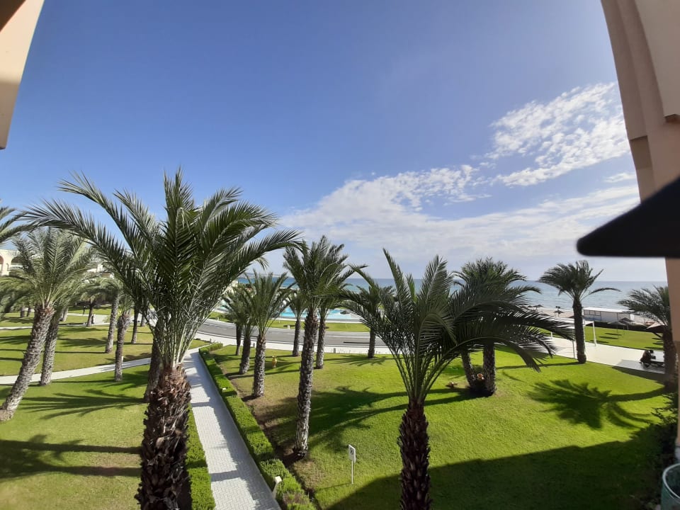 Ausblick Iberostar Waves Averroes