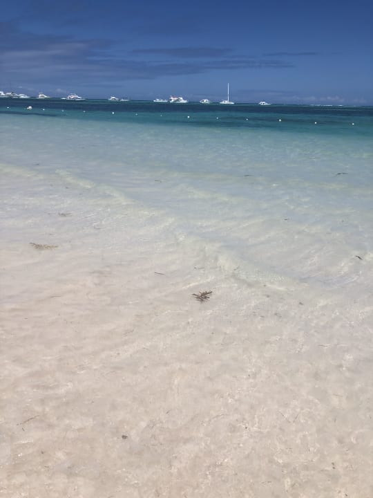 Strand Lopesan Costa Bávaro Resort, Spa & Casino