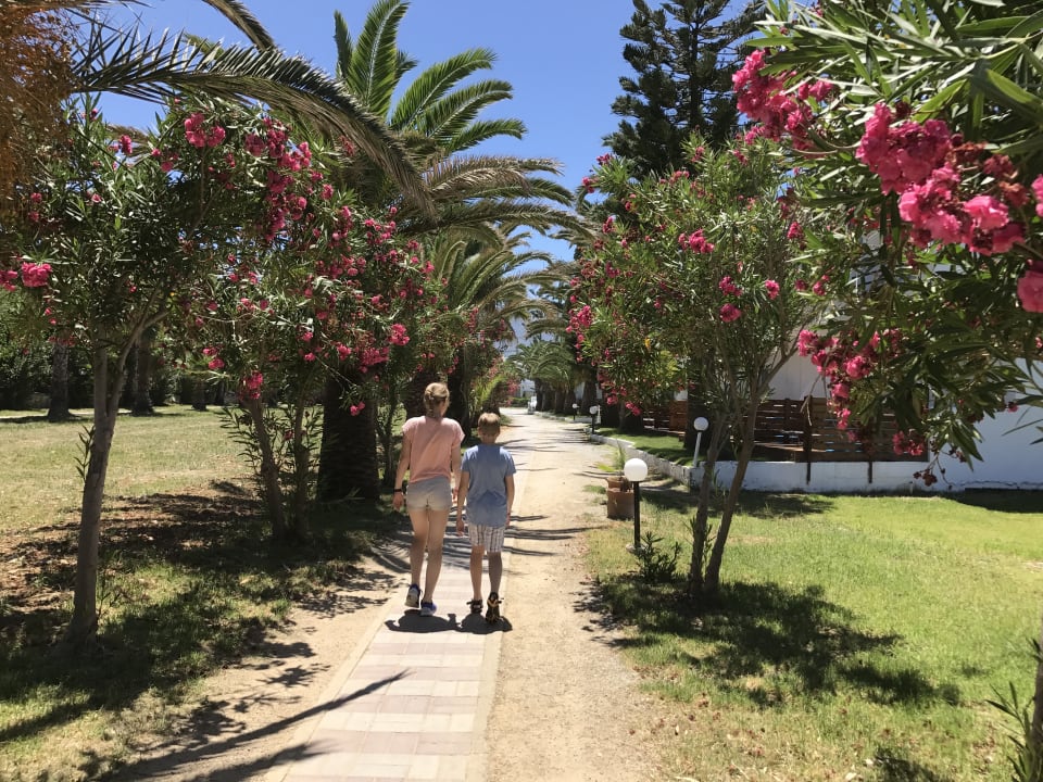 Gartenanlage HARPIN Happy Days Beach Hotel