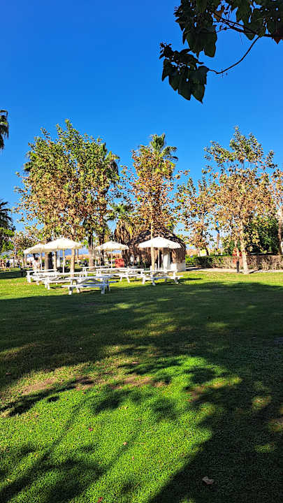 Gartenanlage Balmy Foresta