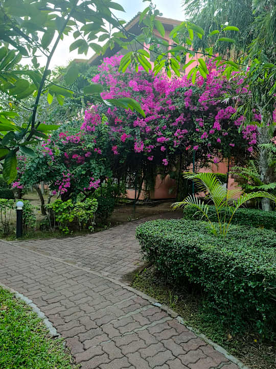 Gartenanlage Pinnacle Samui Resort