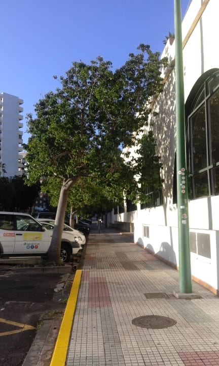 Sonstiges Sol Puerto de la Cruz Tenerife