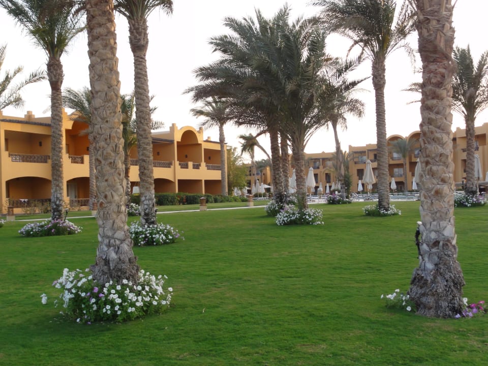 Blick vom Strand Stella Beach Resort & Spa Makadi Bay