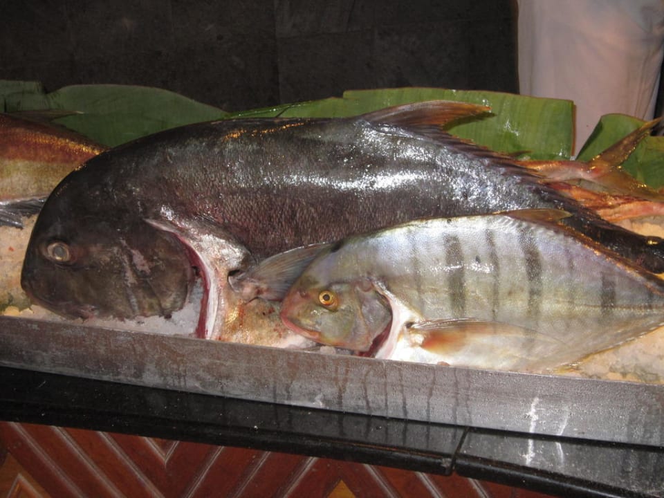 10 Min später lag er auf den Tellern Kuredu Island Resort & Spa