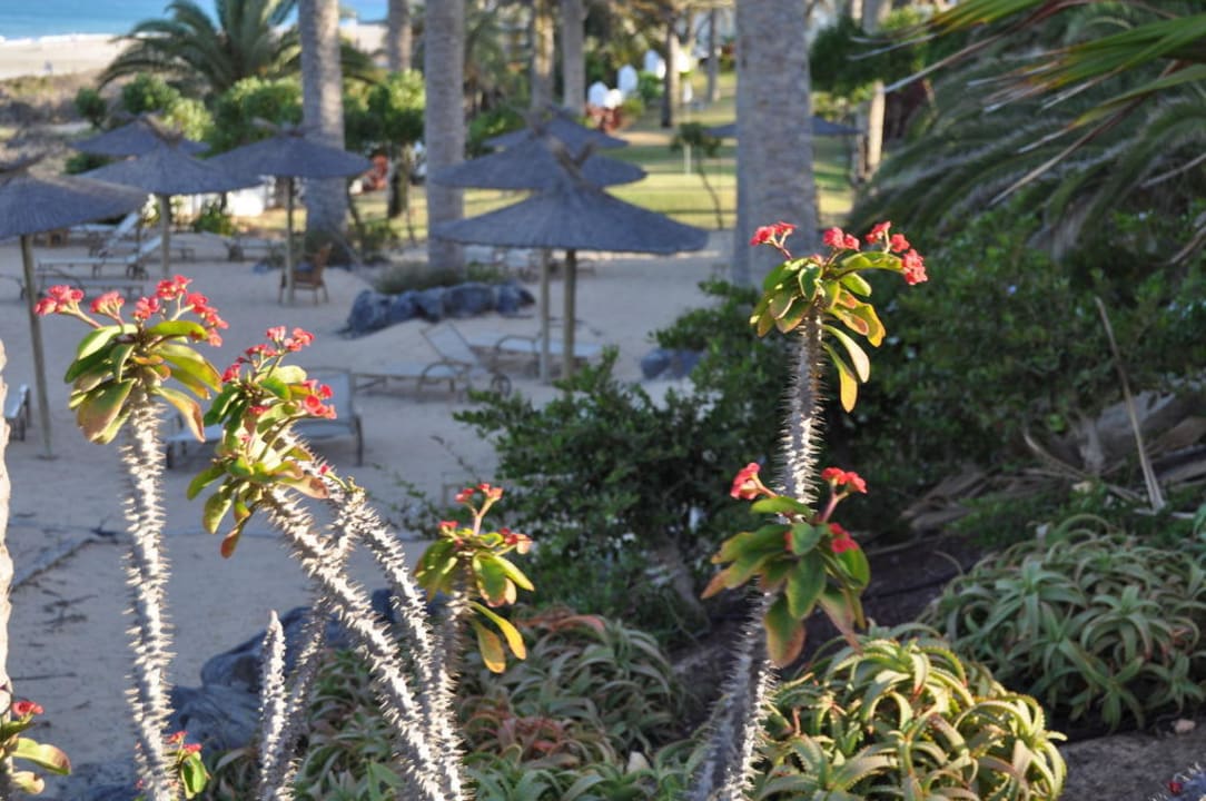 Strand SBH Hotel Costa Calma Palace