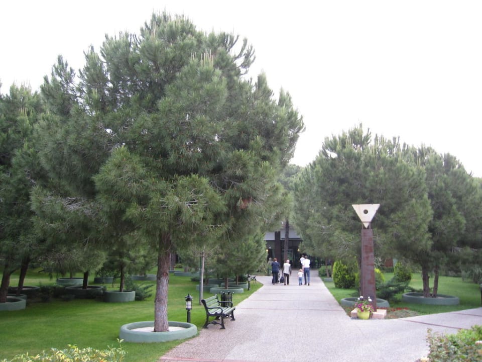 Fussweg zur Rezeption Voyage Belek Golf & Spa