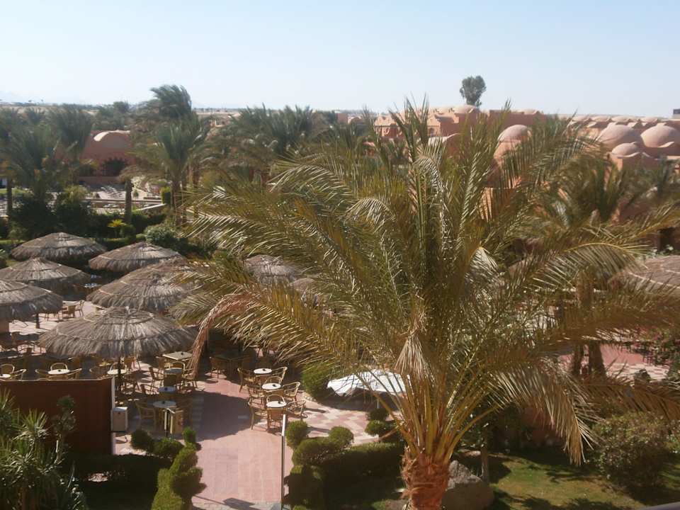 Gartenanlage Jaz Makadi Oasis Resort